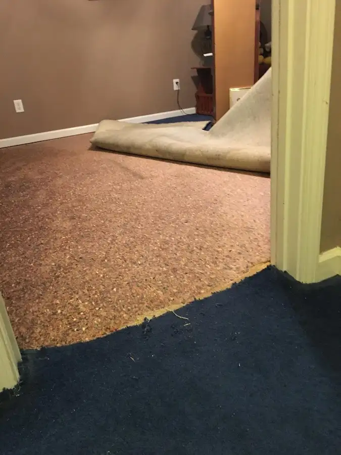 Carpet pad removal revealing water damage during Drying & Dehumidification in Wilton Manors