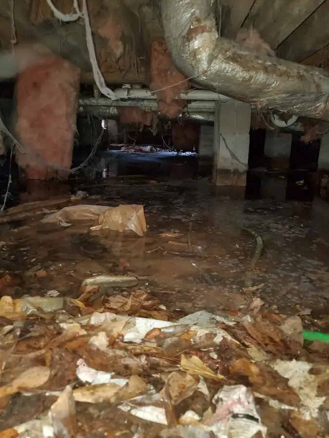 Crawl space flood assessment for Leak Detection & Repair in Wilton Manors
