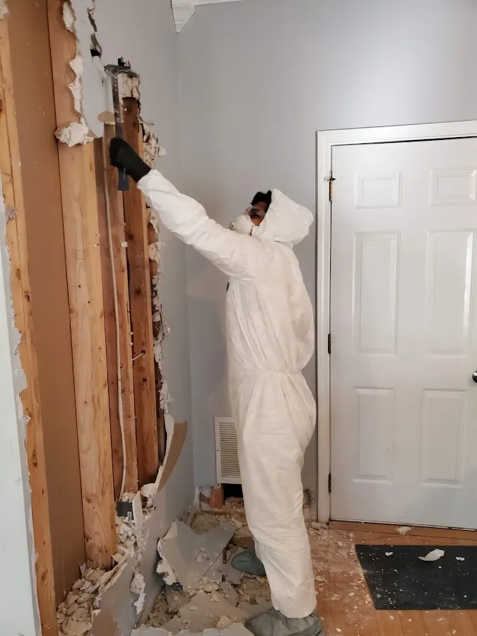Water Damage Restoration services in Wilton Manors, FL